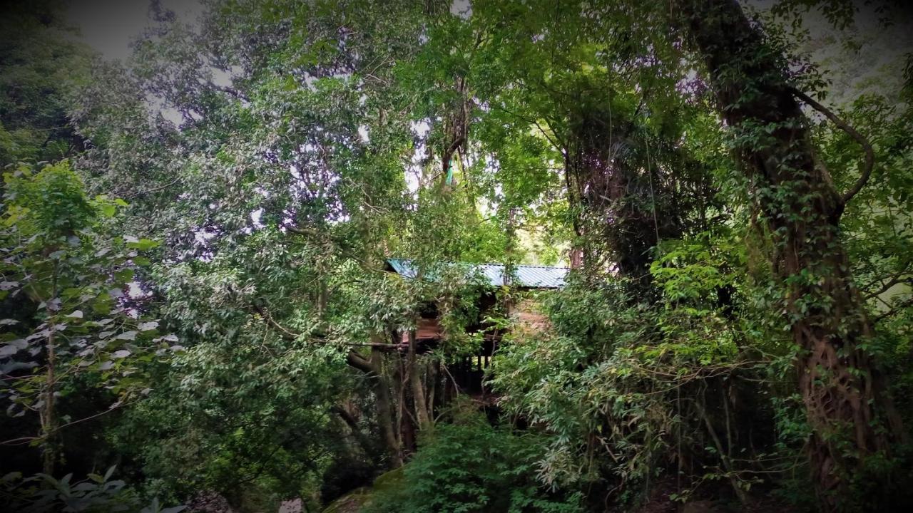 Chalet In The Jungle Pallegama Zewnętrze zdjęcie