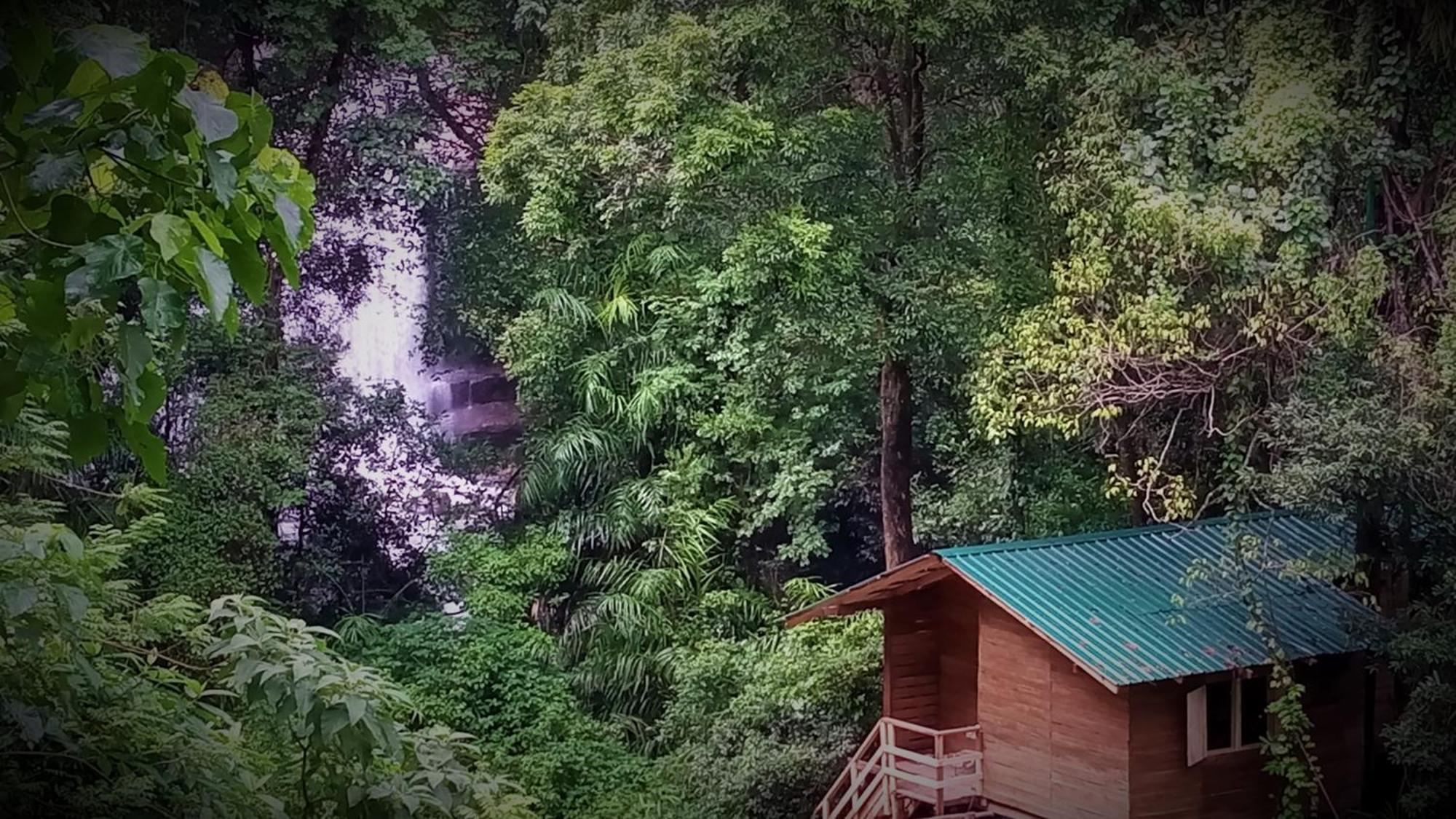Chalet In The Jungle Pallegama Zewnętrze zdjęcie