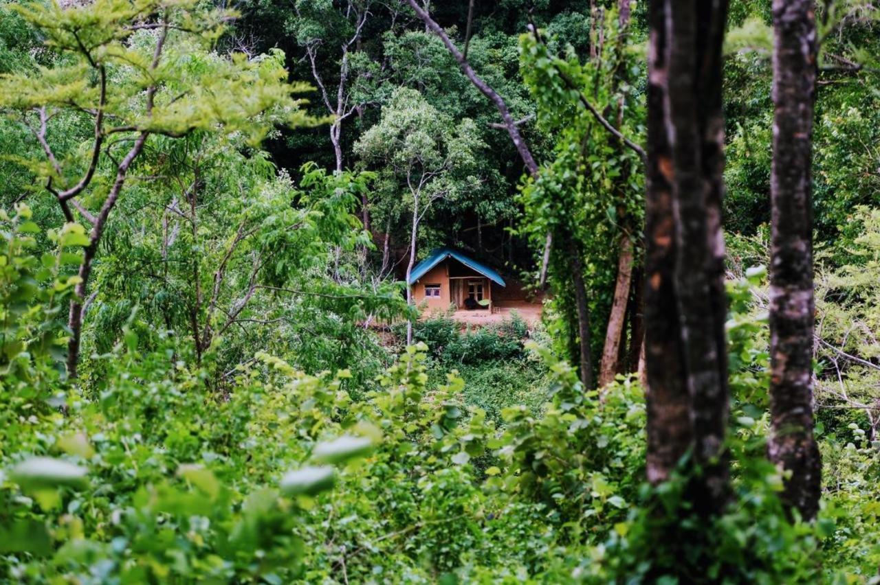 Chalet In The Jungle Pallegama Zewnętrze zdjęcie